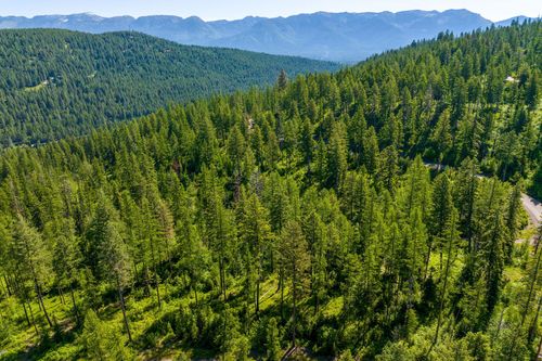 139 Timberjack Trl, Bigfork, MT, 59911 | Card Image