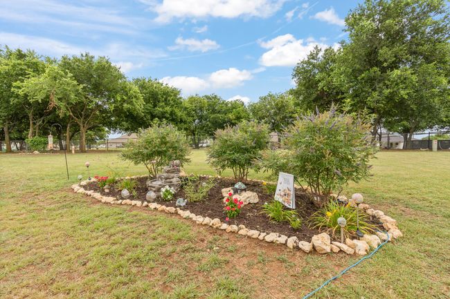 View of yard | Image 30