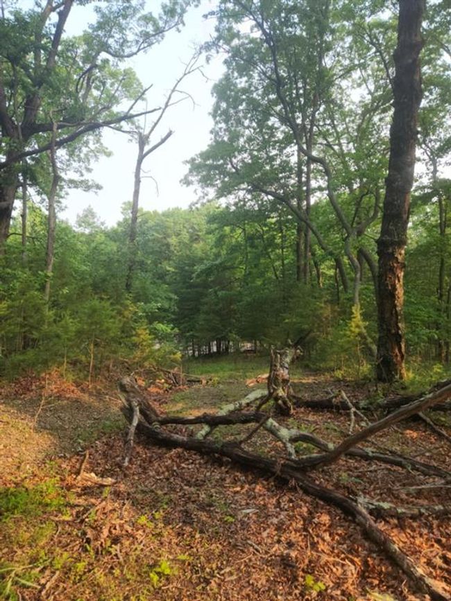 161 Sharp Mountain Pkwy, Home with 0 bedrooms, 0 bathrooms and null parking in Jasper GA | Image 11