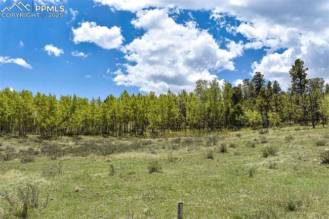 130 Eleven Mile State Park, Home with 0 bedrooms, 0 bathrooms and null parking in Lake George CO | Image 16