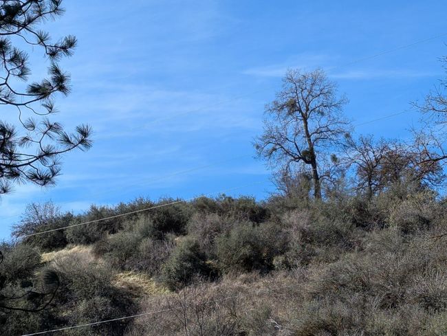 141517 Dunlap Rd, Home with 0 bedrooms, 0 bathrooms and null parking in Miramonte CA | Image 5
