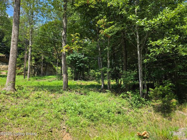 1 Cave Creek Rd, Home with 0 bedrooms, 0 bathrooms and null parking in Falls Of Rough KY | Image 7
