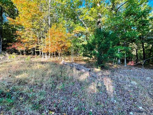 603 Tongie Pt, Horseshoe Bend, AR, 72512-2006 | Card Image
