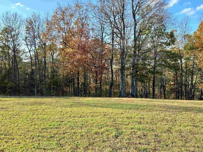 8997 Highway 9, House other with 2 bedrooms, 2 bathrooms and null parking in Mountain View AR | Image 35