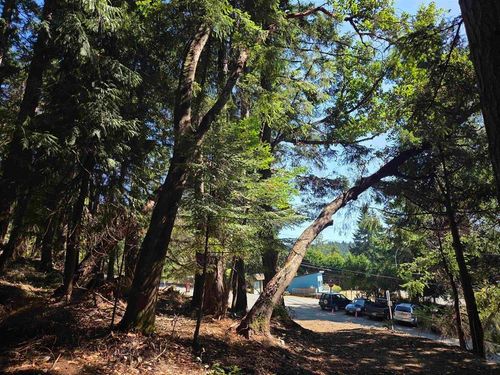 488 Letour Rd, Mayne Island, BC, V0N2J2 | Card Image