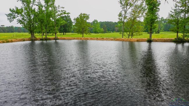000 Fm 1794 E, Home with 0 bedrooms, 0 bathrooms and null parking in De Berry TX | Image 7