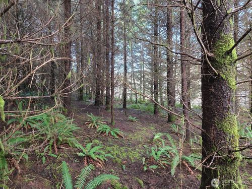 0 End of Workman Creek Rd, Elma, WA, 98541 | Card Image