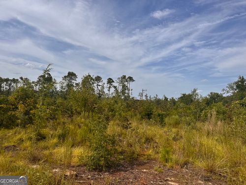 489 New Normantown Rd, Vidalia, GA, 30474-6439 | Card Image