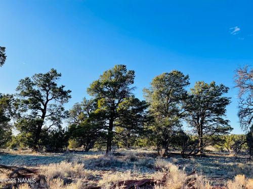 5390 N Windy Walk Way, Williams, AZ, 86046 | Card Image