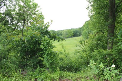 Lot #2 Ross Hill Road, Lisbon, CT, 06351 | Card Image