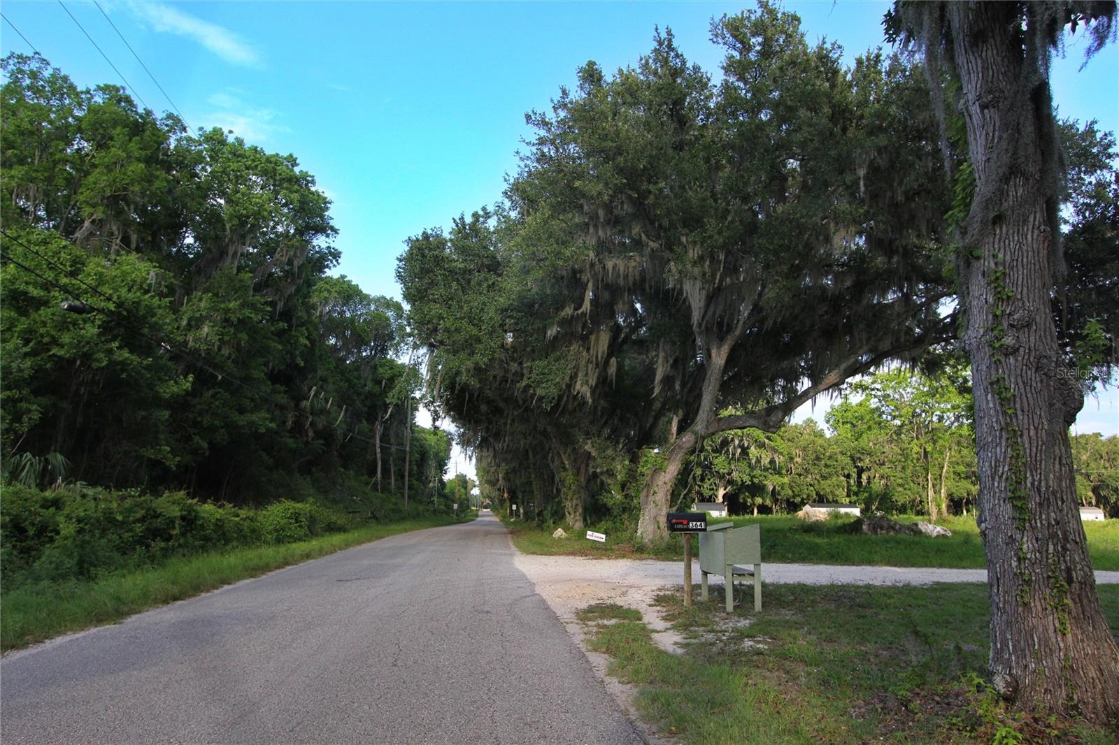 Land in SUMTERVILLE 5