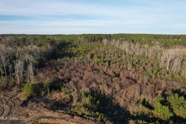 DJI_0800 | Image 65