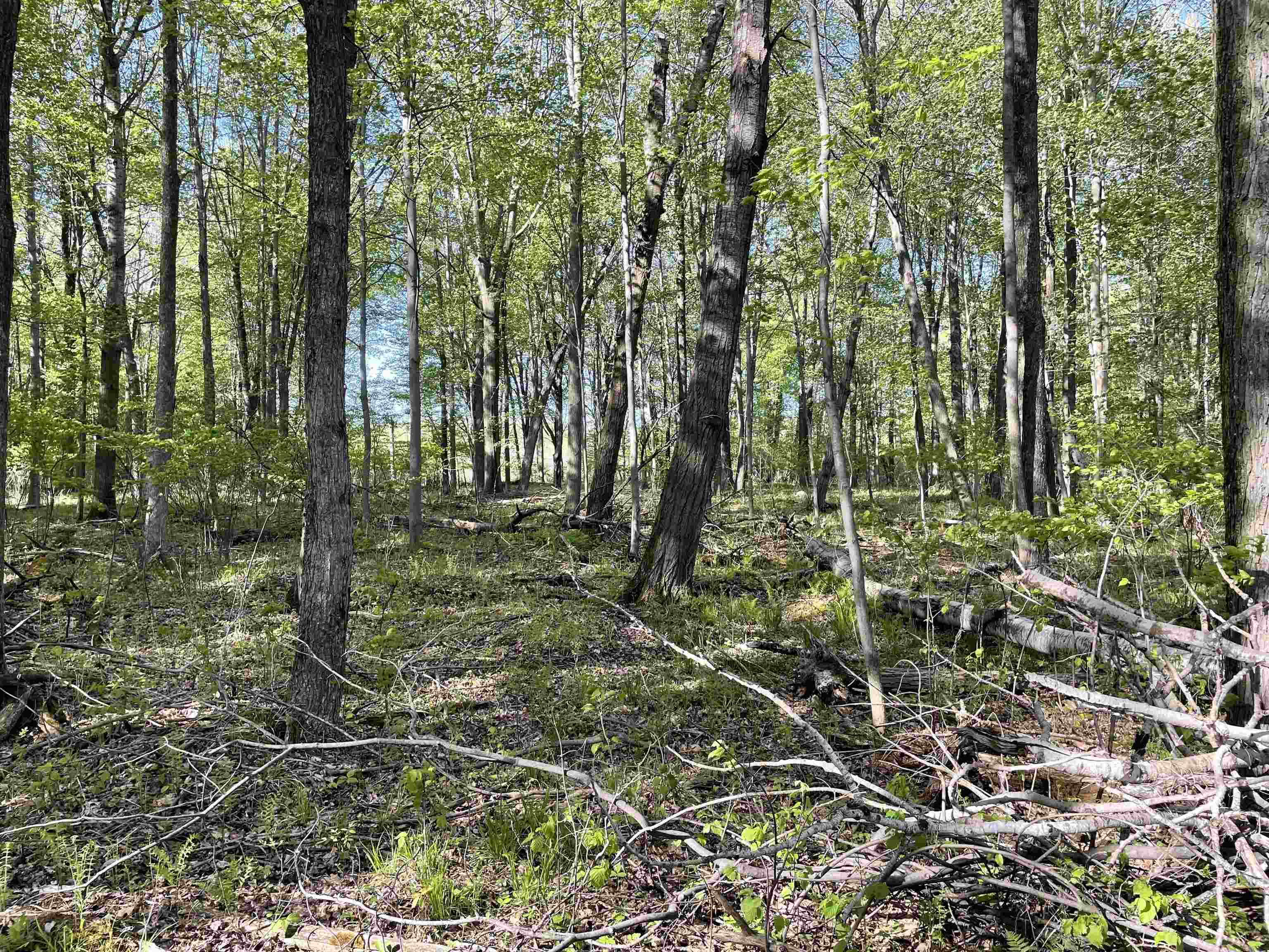 Land in AUBURN 4