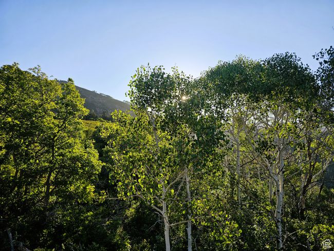 View of mountain feature | Image 16