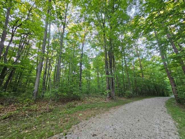 3 Woodfern Lane, Home with 0 bedrooms, 0 bathrooms and null parking in Coalmont TN | Image 6