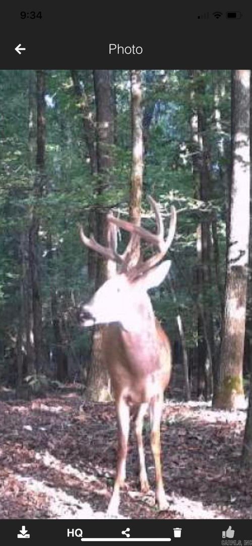 000 Highway 385, Griffithville, AR, 72060 | Card Image