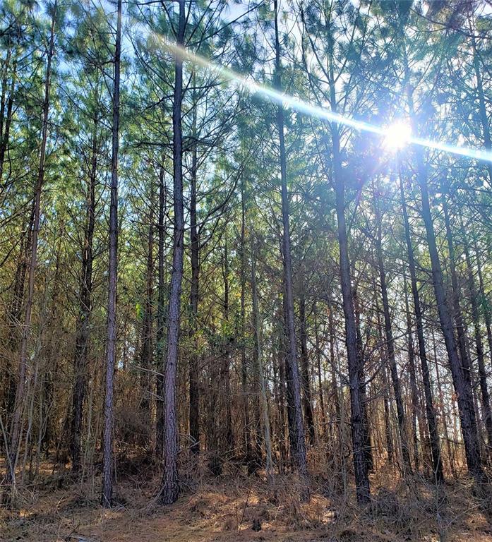 Land in Broken Bow 3