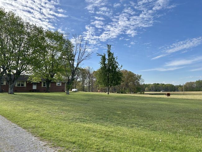 1110 Pomroy Rd, House other with 3 bedrooms, 2 bathrooms and 2 parking in Manchester TN | Image 7