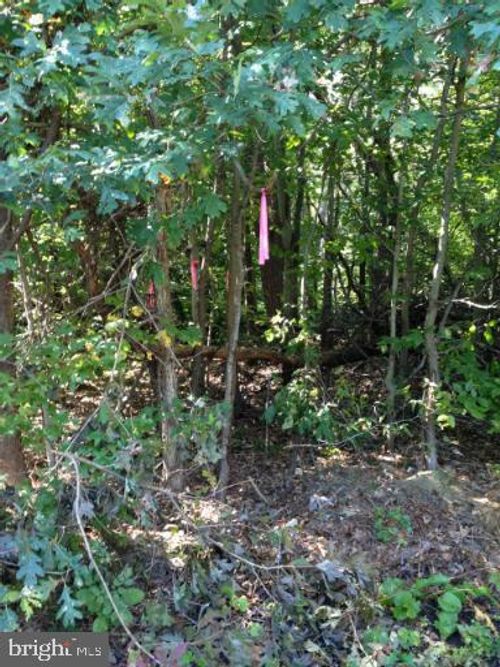 Lot 2 Old Piscataway Rd, FORT WASHINGTON, MD, 20744-2802 | Card Image