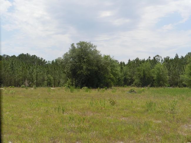 2231 Barts Rd, Home with 0 bedrooms, 0 bathrooms and null parking in Loris SC | Image 10