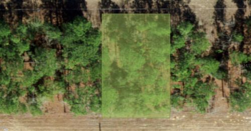 554 W Glenhaven Dr, CITRUS SPRINGS, FL, 34434-8026 | Card Image