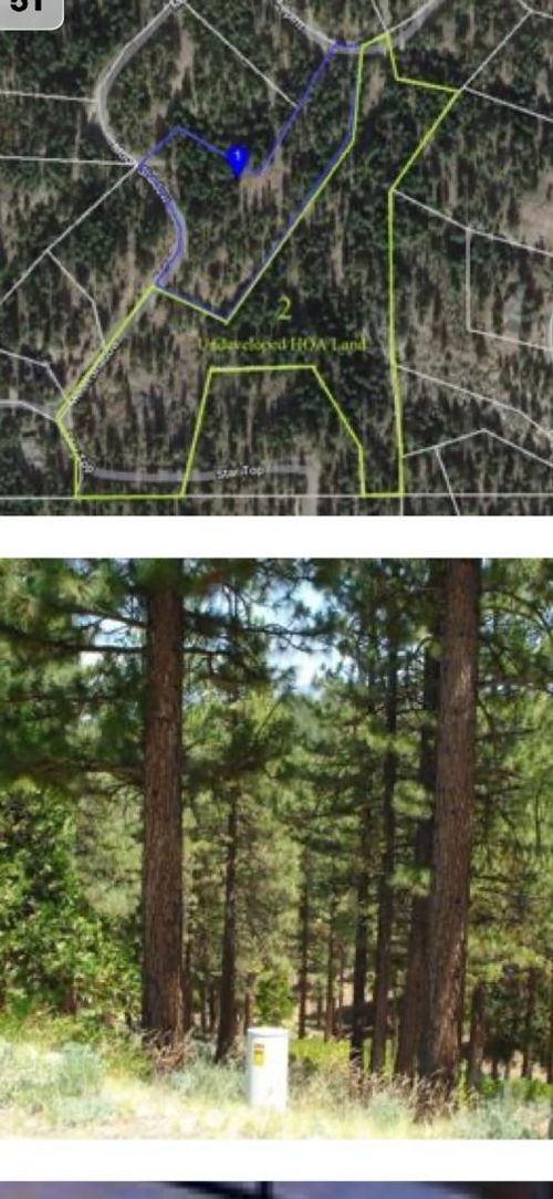 976 Moon Shadow, Portola, CA, 96122 | Card Image