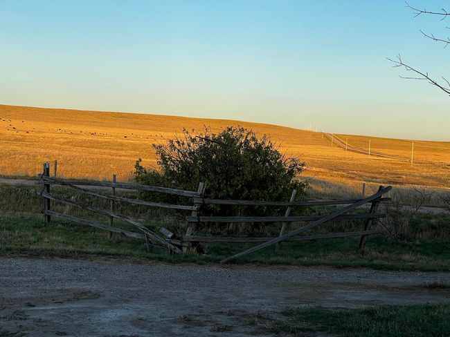 View of yard with a rural view and fence | Image 9