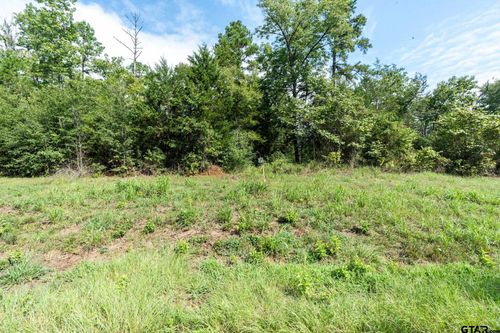 11163 Moser Ln, Whitehouse, TX, 75791 | Card Image