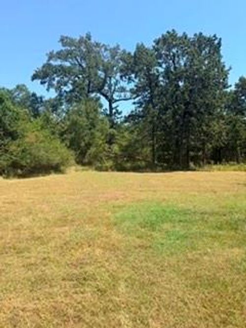 TBD (Lot 25) Deep Woods Lane, Livingston, TX, 77351 | Card Image