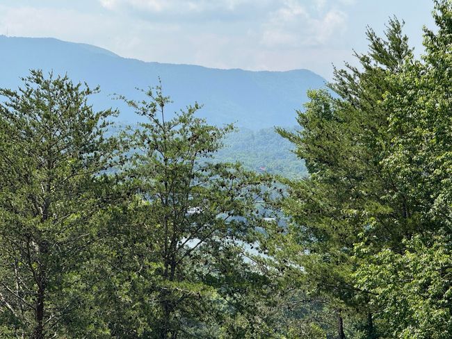 2452 Skyview Way, House other with 2 bedrooms, 2 bathrooms and null parking in Dandridge TN | Image 31
