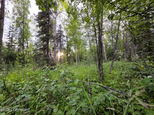 14403 E Lichtenwalner Rd, Talkeetna, AK, 99676 | Card Image