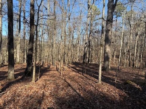 1 Bethel Rd, Valley Head, AL, 35989 | Card Image
