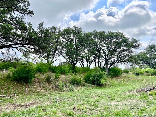 1155 Razor Ridge Rd, Home with 3 bedrooms, 2 bathrooms and null parking in Junction TX | Image 31