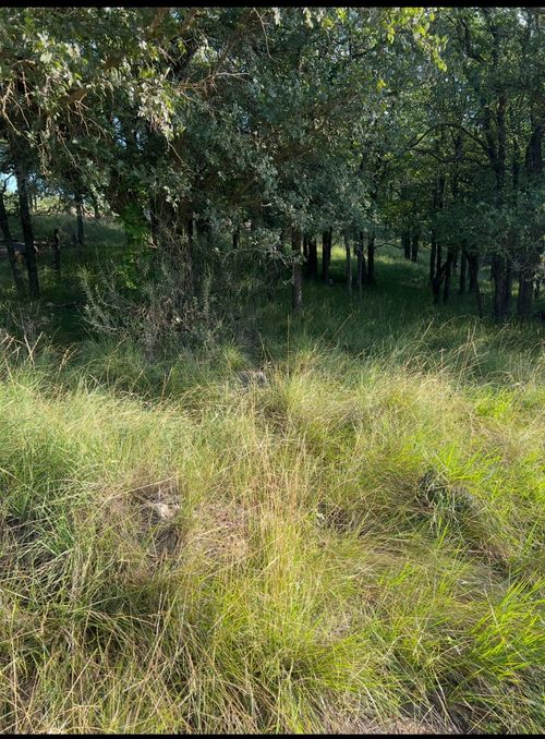 Lot 914 Oak Point Dr, May, TX, 76857 | Card Image