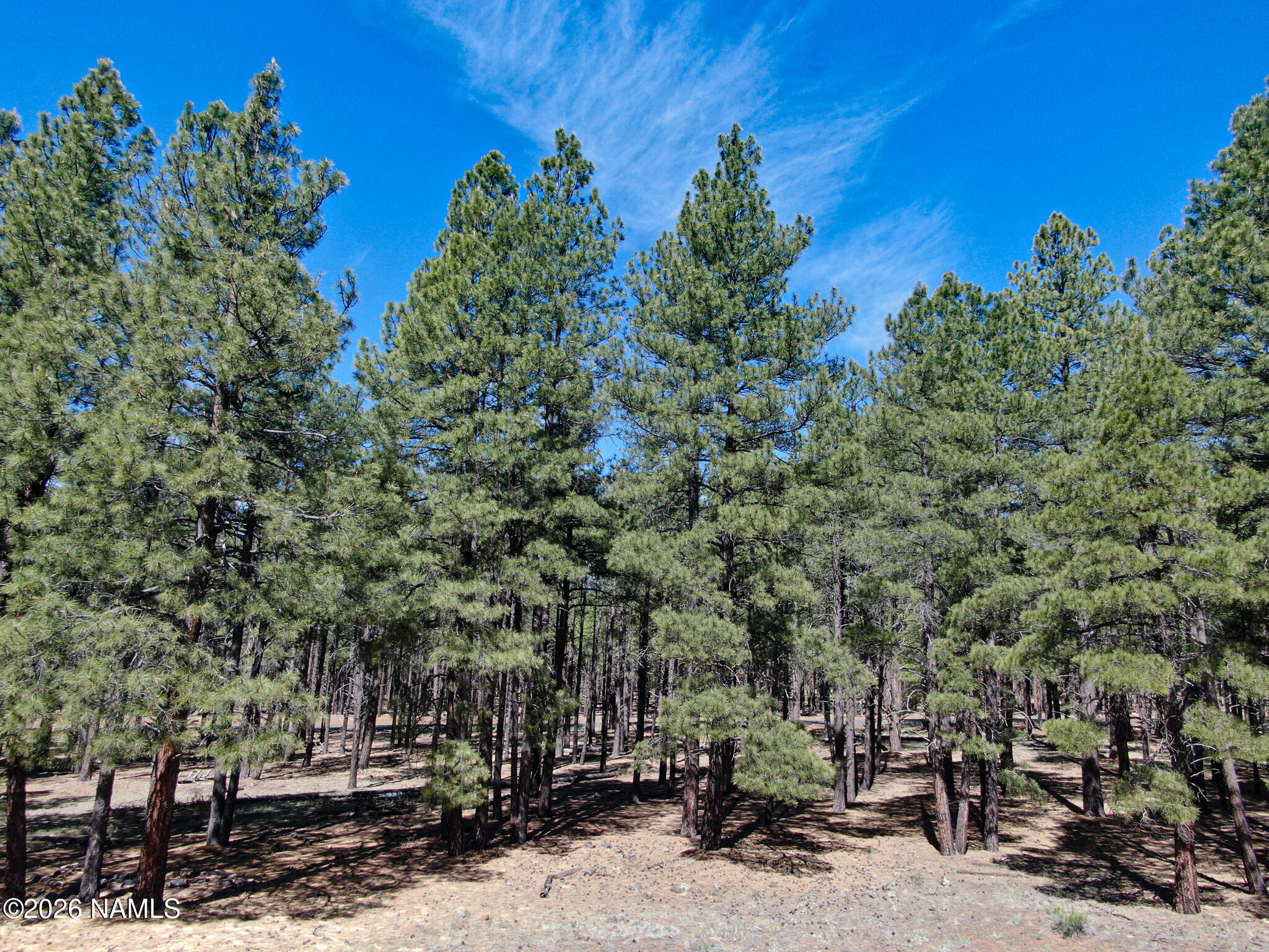 Land in Flagstaff 4