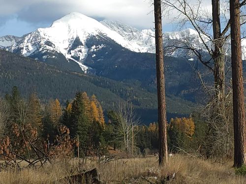 NHN Nhn Hollopeter Road, Condon, MT, 59826 | Card Image