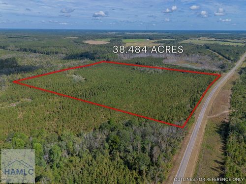 Tract 2 Kinnett Rd, Jacksonville, GA, 31544 | Card Image