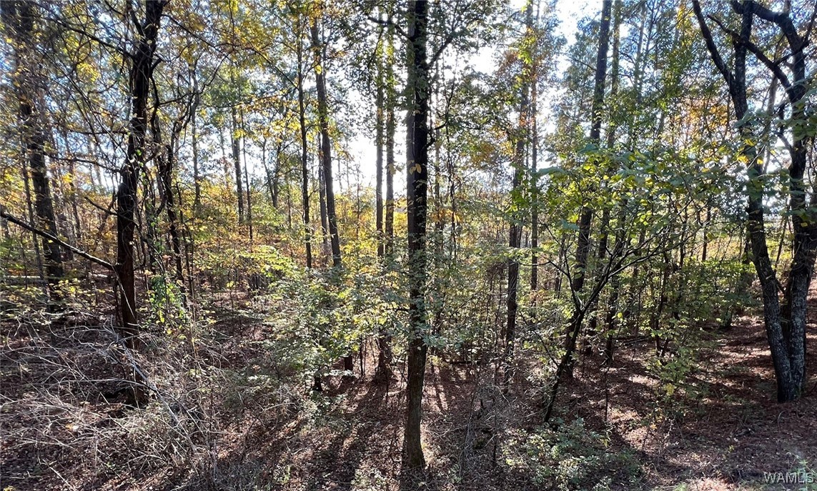 Land in McCalla