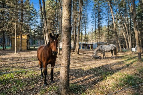 134 Menominee Trl, Buckley, MI, 49620-9521 | Card Image