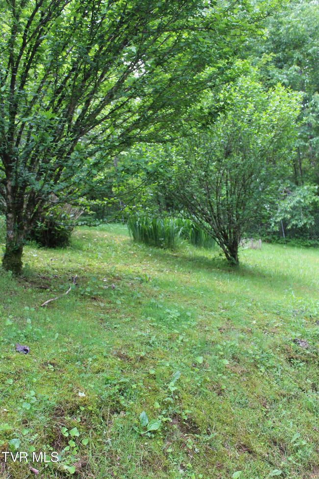 2967 Left Poor Valley Rd, House other with 2 bedrooms, 1 bathrooms and null parking in Pennington Gap VA | Image 10