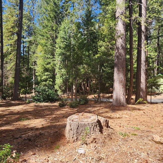 11254 Winding Way, Home with 0 bedrooms, 0 bathrooms and null parking in Clipper Mills CA | Image 8