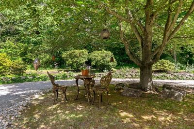 Looking out from the front door is this lovely setting with large shade tree in the middle of the circular driveway. | Image 2