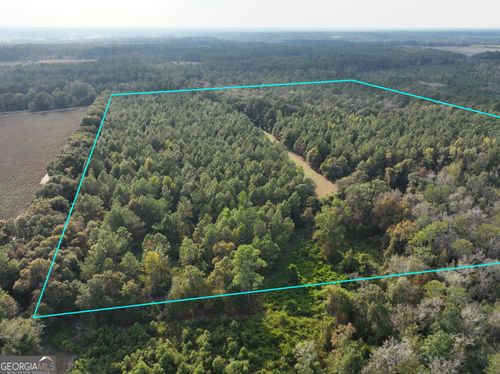 0 Mj Taylor Rd, Hahira, GA, 31632 | Card Image