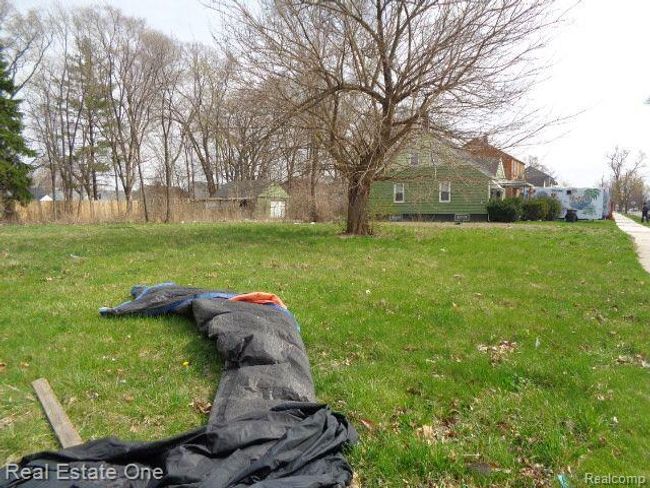 12932 Dwyer St, Home with 0 bedrooms, 1 bathrooms and null parking in Hamtramck MI | Image 5