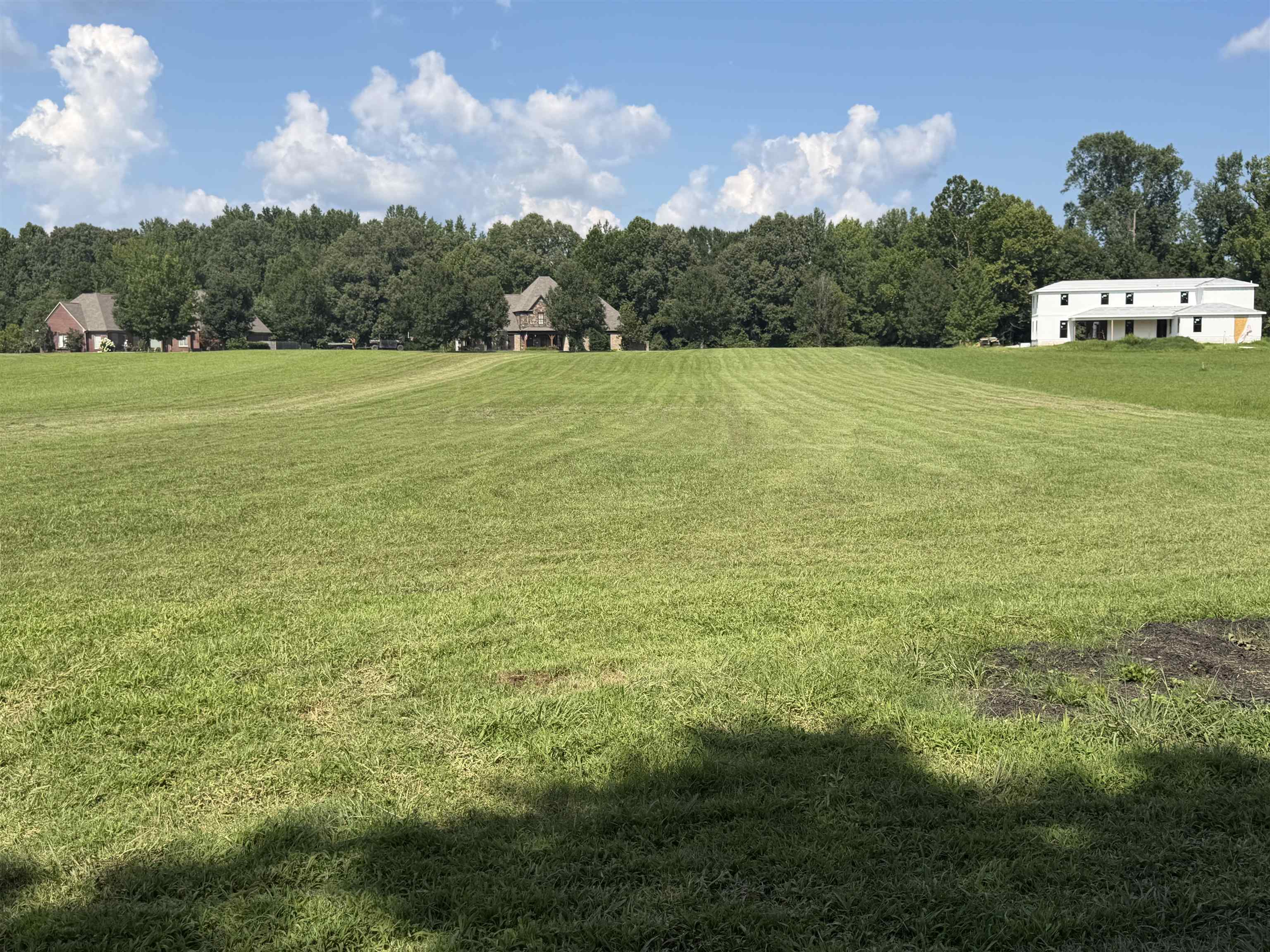 Land in Rossville 3