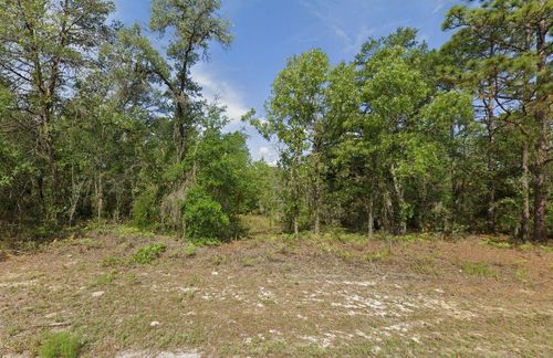 6502 N Matheson Dr, CITRUS SPRINGS, FL, 34434-8415 | Card Image