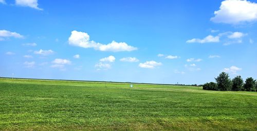 Shamrock Acres Shamrock Acres, Graceville, MN, 56240 | Card Image