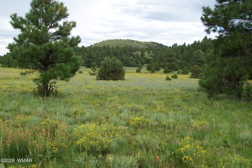 Lot 5 Red Cabin Ranch Unit Ii, Vernon, AZ, 85940 | Card Image