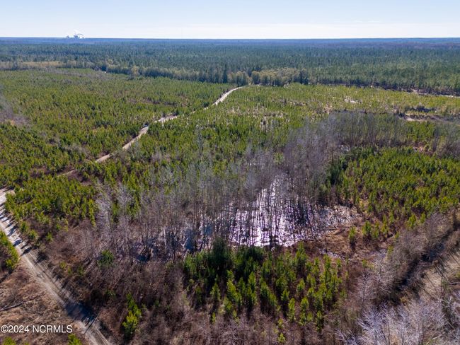 00 Sykes Town Rd, Home with 0 bedrooms, 0 bathrooms and null parking in Currie NC | Image 4