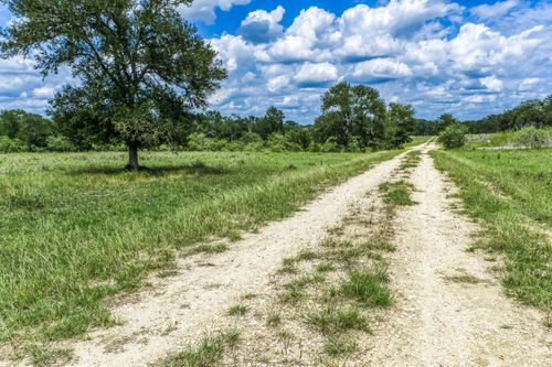 TBD(+/-237.91 AC) State Highway 36 S, Caldwell, TX, 77836 | Card Image